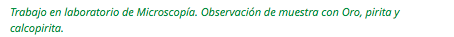 Trabajo en laboratorio de Microscopía. Observación de muestra con Oro, pirita y calcopirita.
